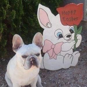 Meet your Posher, Patti